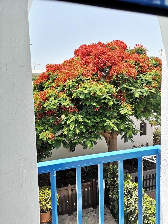 Maspalomas Casa La Loba エクステリア 写真