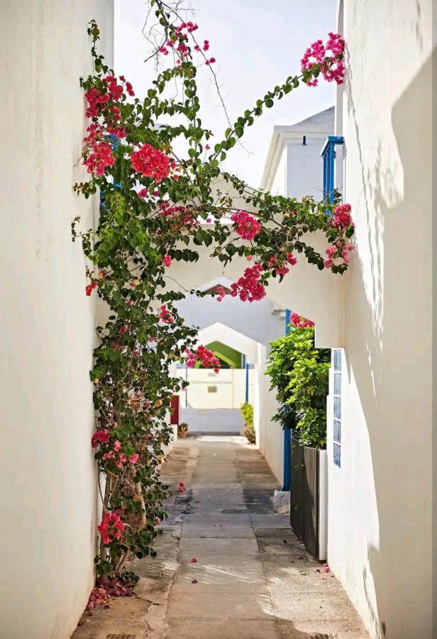 Maspalomas Casa La Loba エクステリア 写真