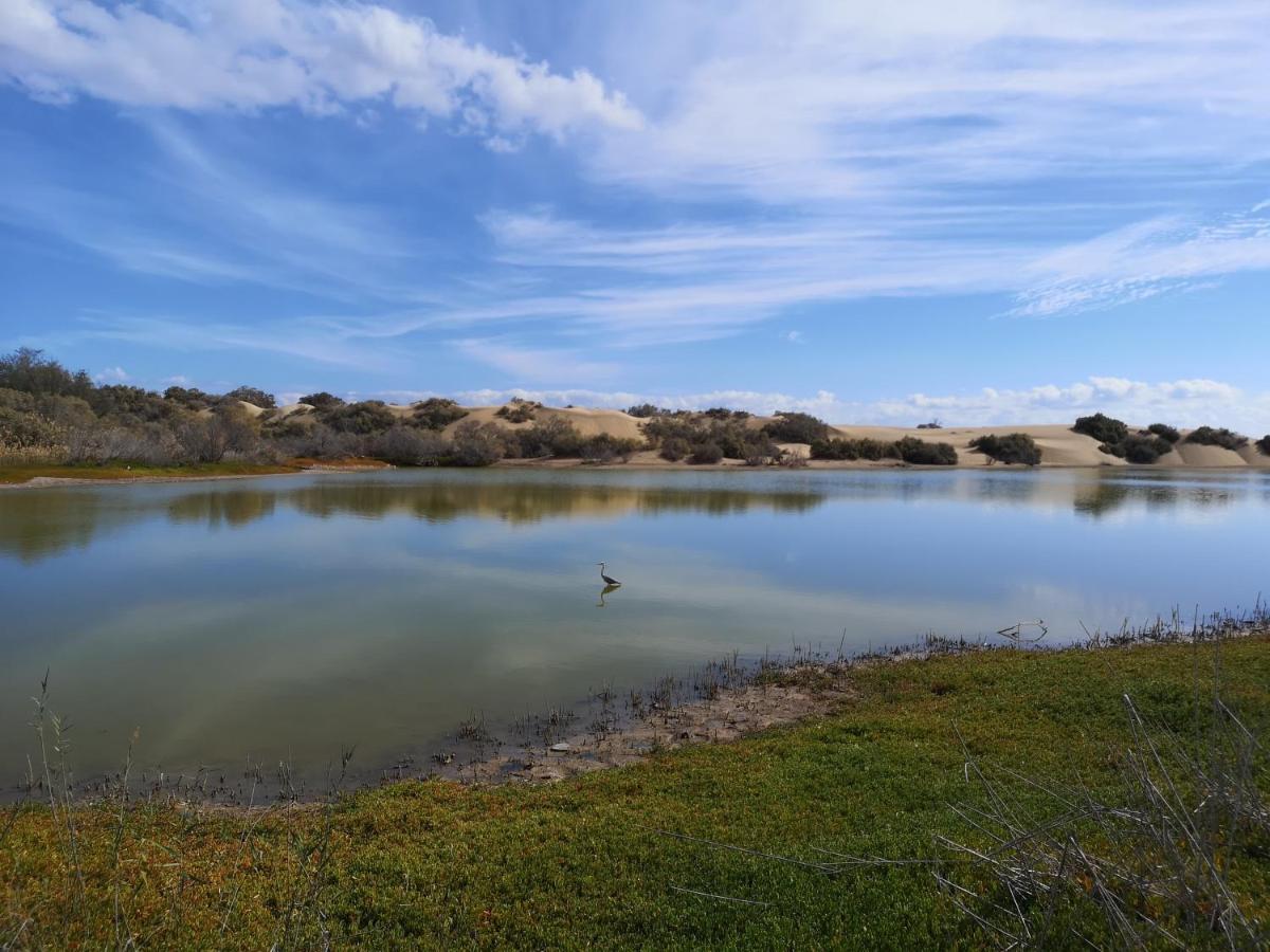 Maspalomas Casa La Loba エクステリア 写真